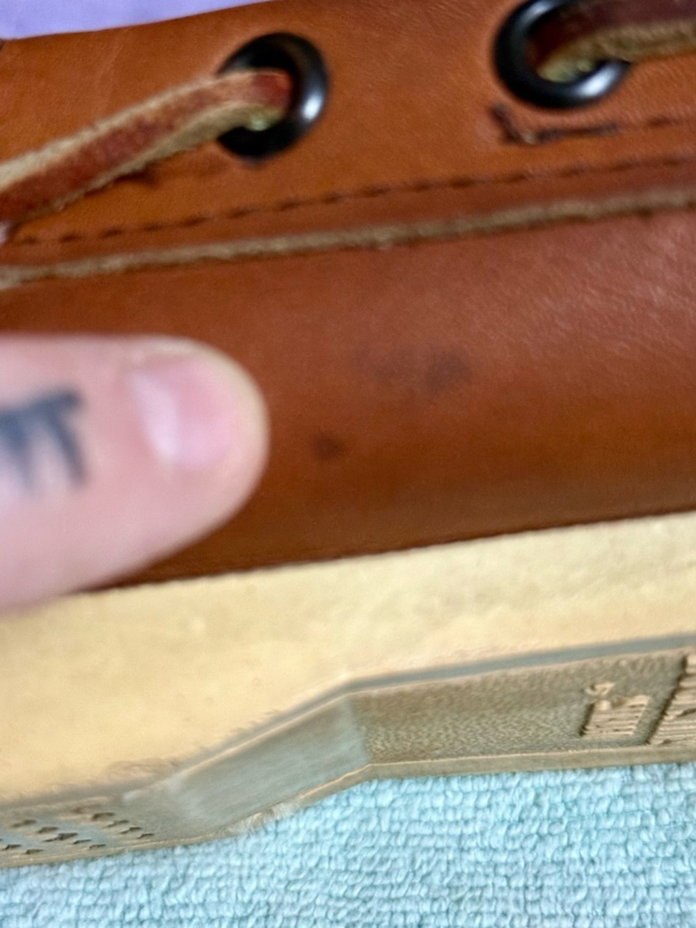 Sebago Docksides - Picture 11 of 11